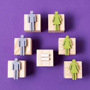 202ff4-11-08 08_12_23-wooden-cubes-with-green-women-blue-men-figurines-equal-sign (1)